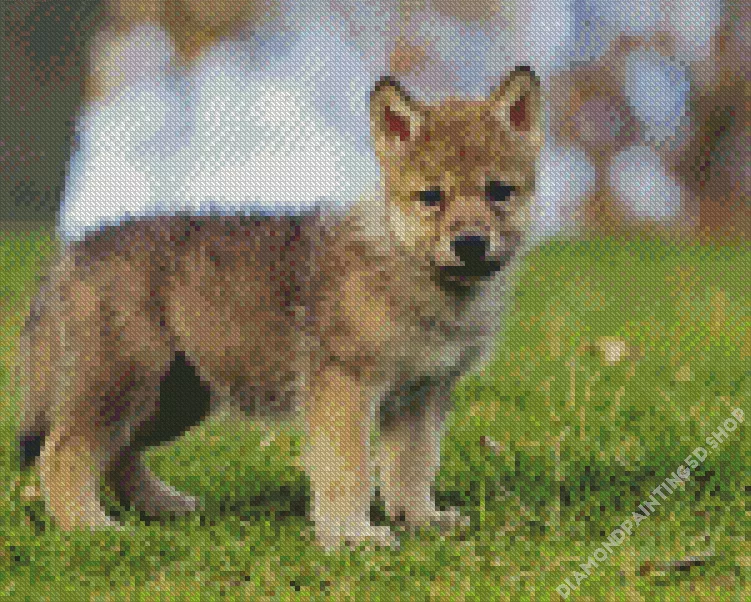 baby wolf Diamond With Numbers Baby Wolf Diamond Painting