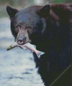 Bear Eating Fish Diamond Painting