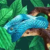 Blue Bush Snake Diamond Painting