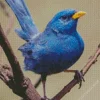 Blue Finch Bird Diamond Painting