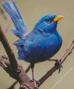 Blue Finch Bird Diamond Painting