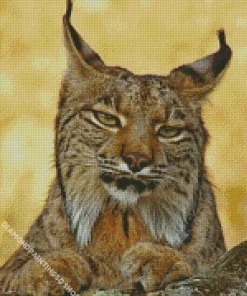 Bobcat Face Diamond Painting