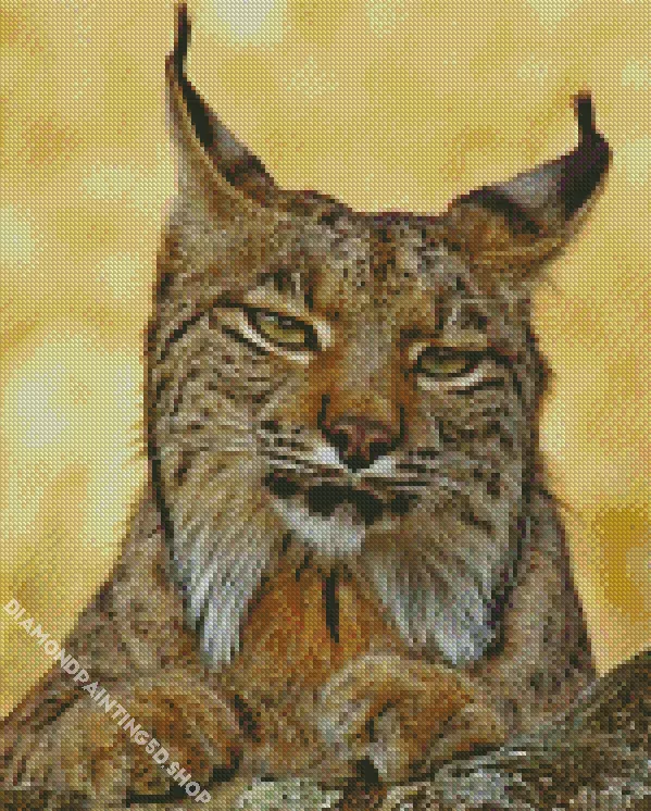 bobcat face Diamond Paints Bobcat Face Diamond Painting
