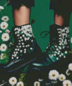 Boots With Daisies Diamond Painting