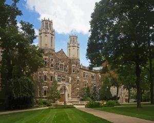 Lehigh University Diamond Painting