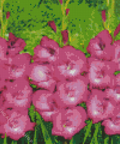 Pink Gladiolus Diamond Painting