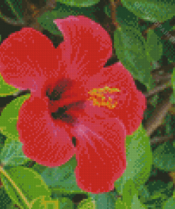 Shoe Black Plant Diamond Painting