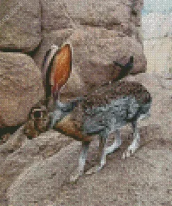 Black Tailed Jackrabbit Diamond Painting