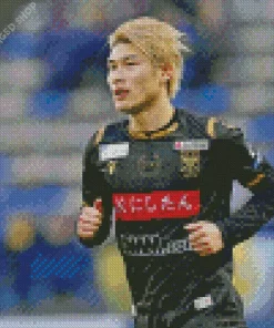 Daiki Hashioka Diamond Painting