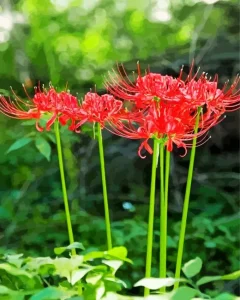Spider Lily Flowers Diamond Painting