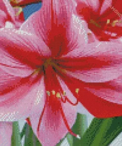 Amaryllis Flower Diamond Painting