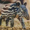 Baby Tapir Diamond Painting
