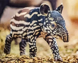 Baby Tapir Diamond Painting