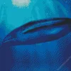 Big Blue Whale Diamond Painting