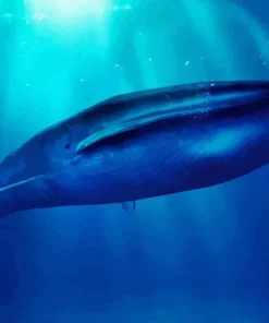 Big Blue Whale Diamond Painting