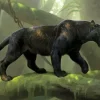 Black Panther Diamond Painting