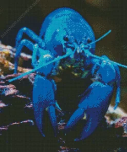 Blue Lobster Diamond Painting