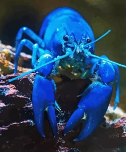 Blue Lobster Diamond Painting