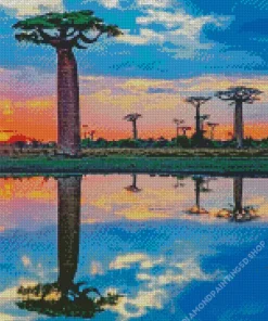 Boab Trees Water Diamond Painting