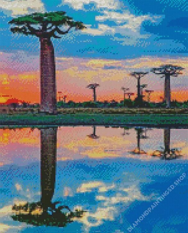 boab trees water reflection Diamond By Numbers Boab Trees Water Diamond Painting