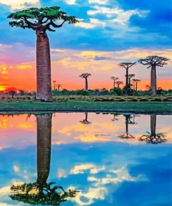 Boab Trees Water Diamond Painting