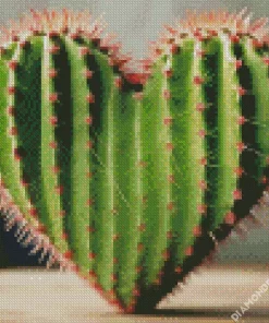 Cactus Heart Diamond Painting