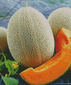 Cantaloupe Melon Diamond Painting