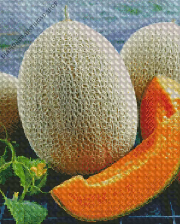 cantaloupe melon Diamond By Numbers Cantaloupe Melon Diamond Painting
