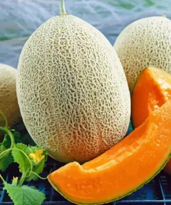 Cantaloupe Melon Diamond Painting