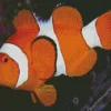 Clownfish Underwater Diamond Painting