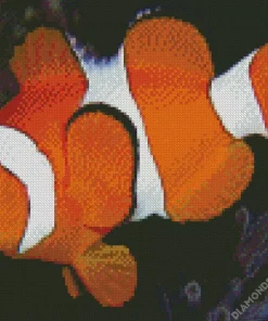 Clownfish Underwater Diamond Painting
