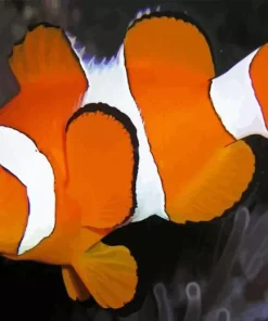 Clownfish Underwater Diamond Painting