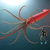 Colossal Squid Diamond Painting