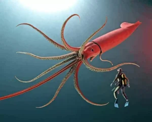 Colossal Squid Diamond Painting