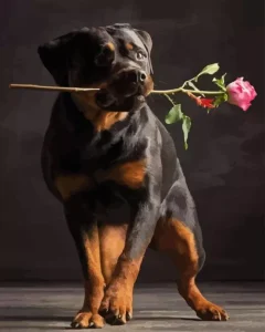 Dog Holding Rose Diamond Painting