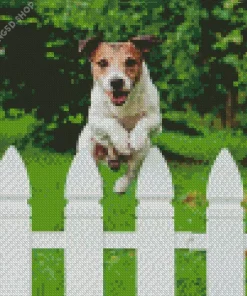 Dog Jumping Diamond Painting