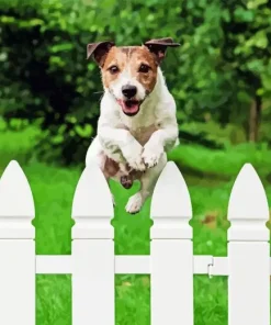 Dog Jumping Diamond Painting