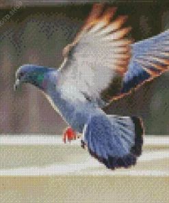 Flying Pigeon Diamond Painting