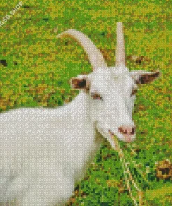 Goat Eating Diamond Painting