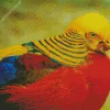 Golden Pheasant Diamond Painting