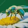 Green Bee Insect Diamond Painting