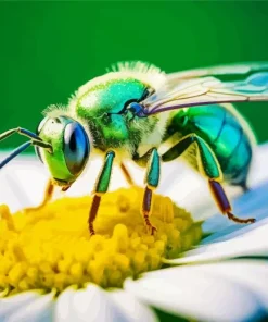 Green Bee Insect Diamond Painting