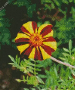 Harlequin Marigold Diamond Painting