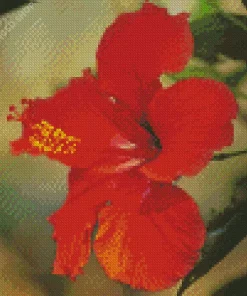 Hawaiian Flower Diamond Painting