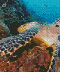Hawksbill Sea Turtle Diamond Painting