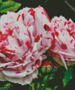 Heirloom Roses Diamond Painting