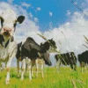 Herd Of Cows Diamond Painting