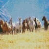 Herd Of Horses Diamond Painting