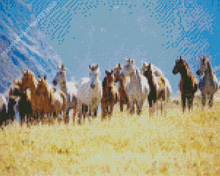 herd of horses Diamond By Numbers Herd Of Horses Diamond Painting