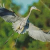 Heron Bird Flying Diamond Painting